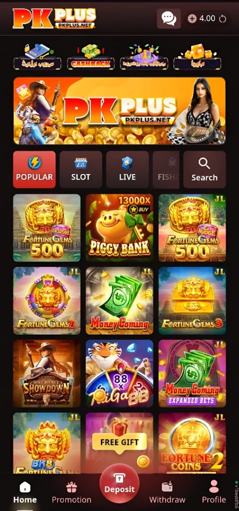 PAKPLUS Game